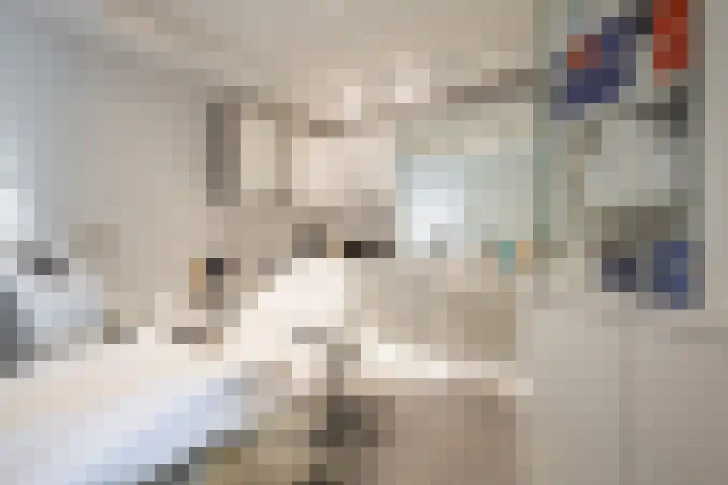 Bouwensstraat 25 Simpelveld thumbnail 27