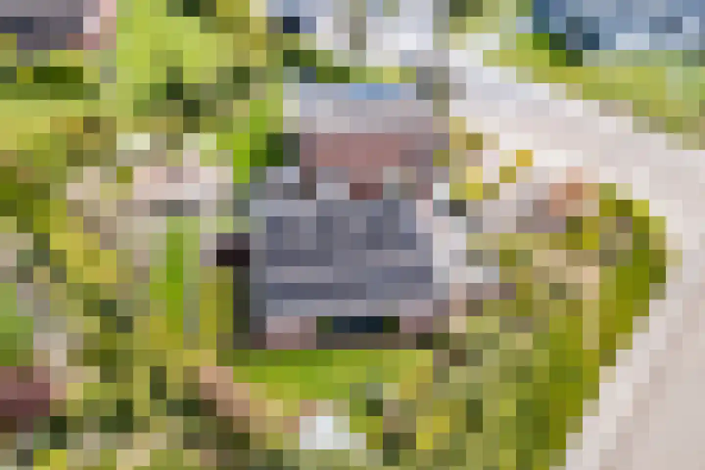 Bouwensstraat 25 Simpelveld thumbnail 38