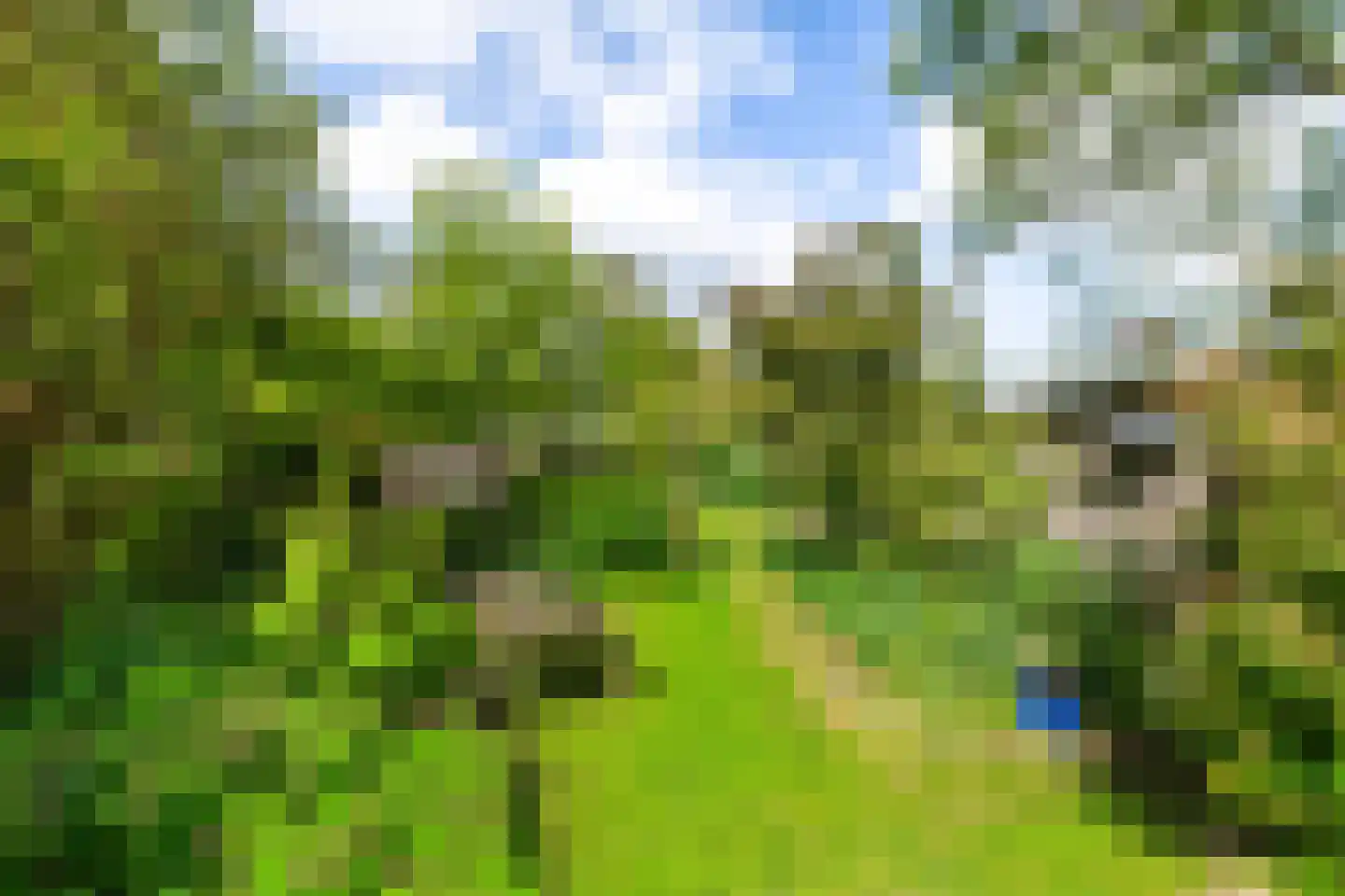 Bouwerschapweg 70 Woltersum thumbnail 11