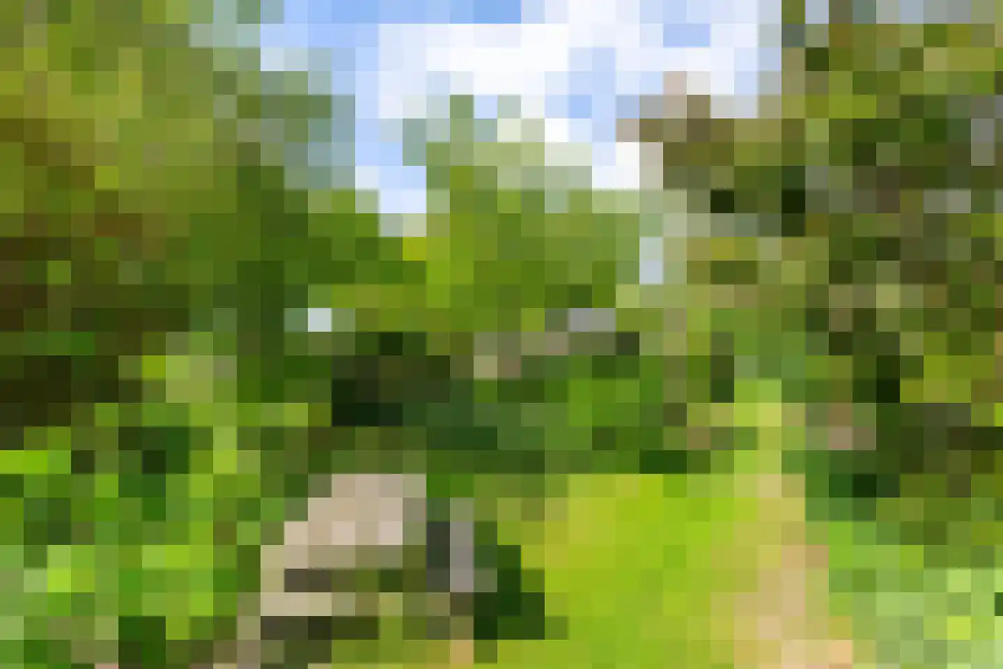 Bouwerschapweg 70 Woltersum thumbnail 13