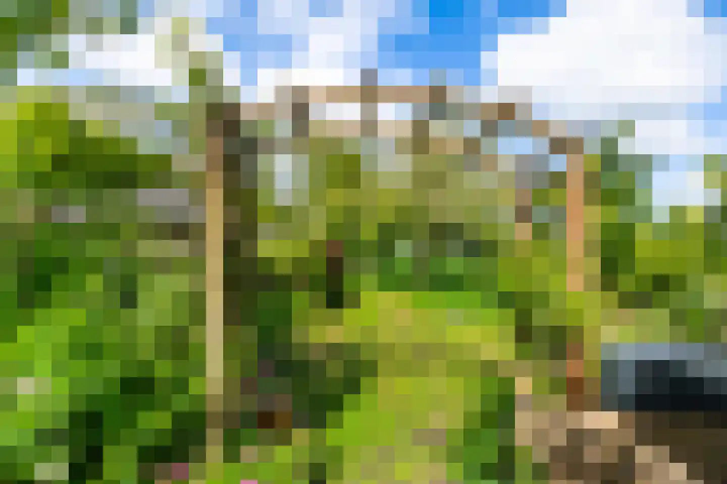 Bouwerschapweg 70 Woltersum thumbnail 14