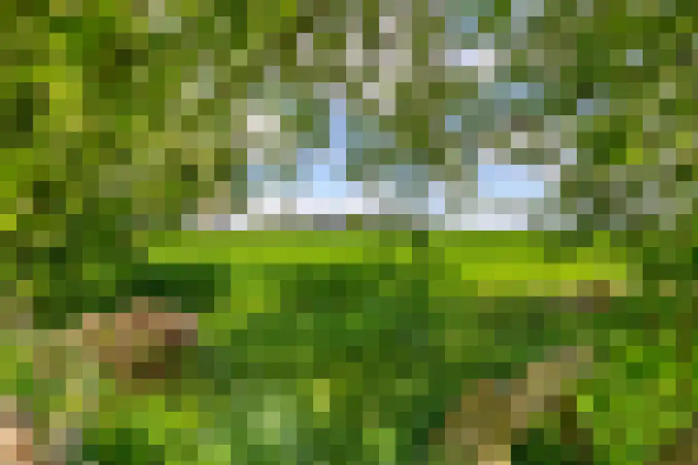 Bouwerschapweg 70 Woltersum thumbnail 18