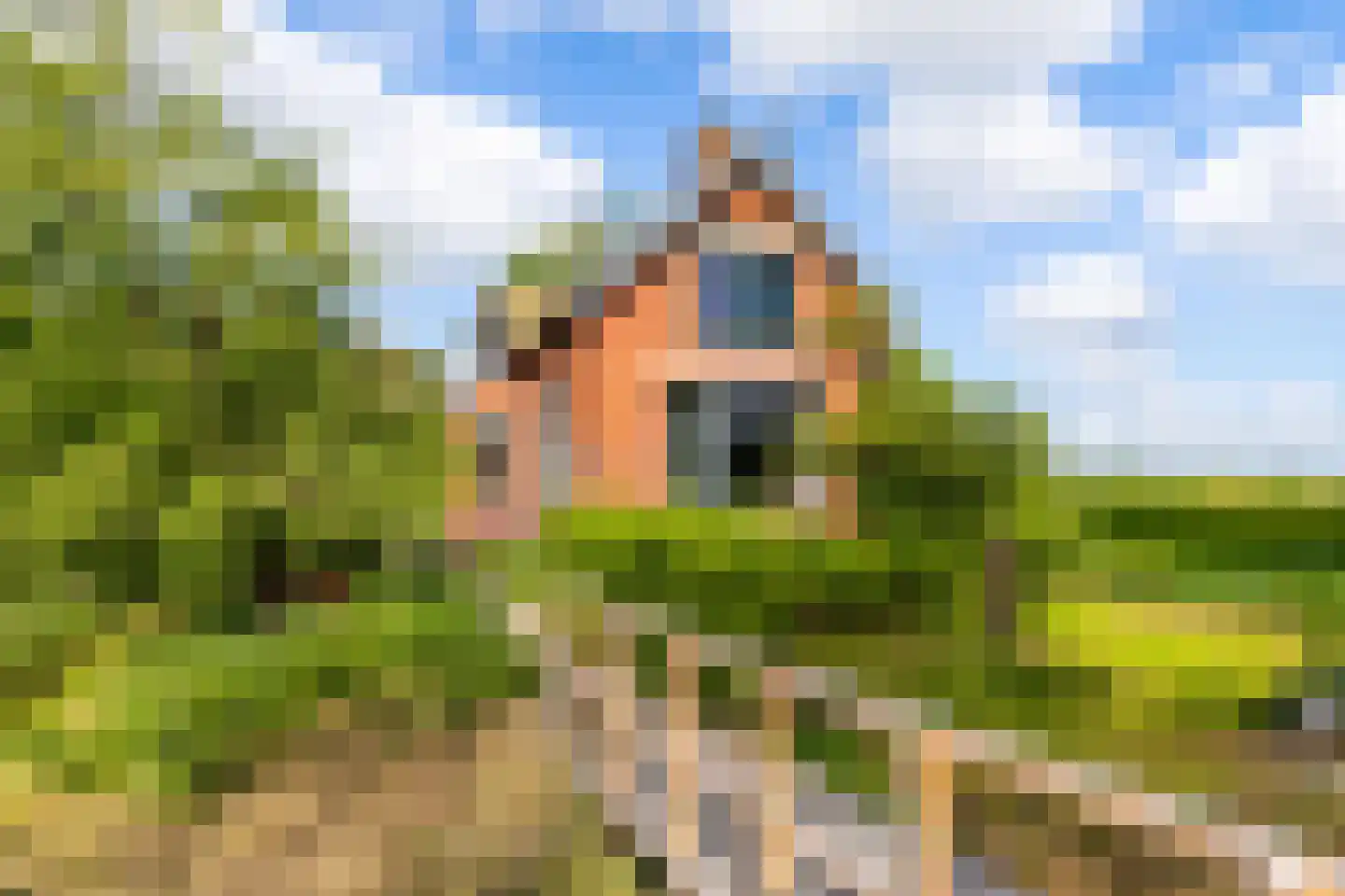 Bouwerschapweg 70 Woltersum thumbnail 4