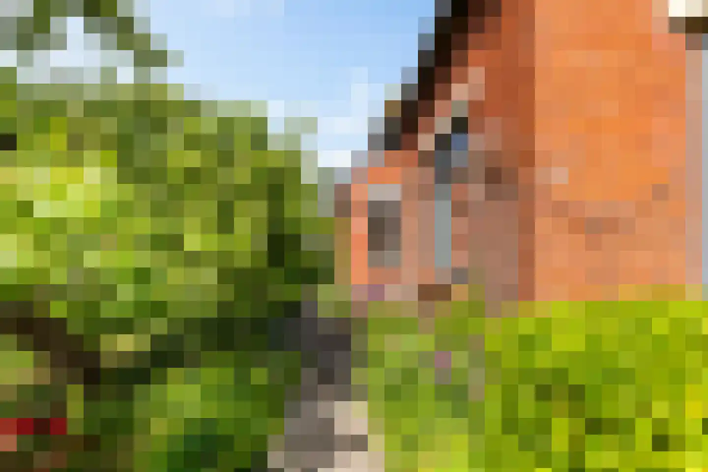 Bouwerschapweg 70 Woltersum thumbnail 7