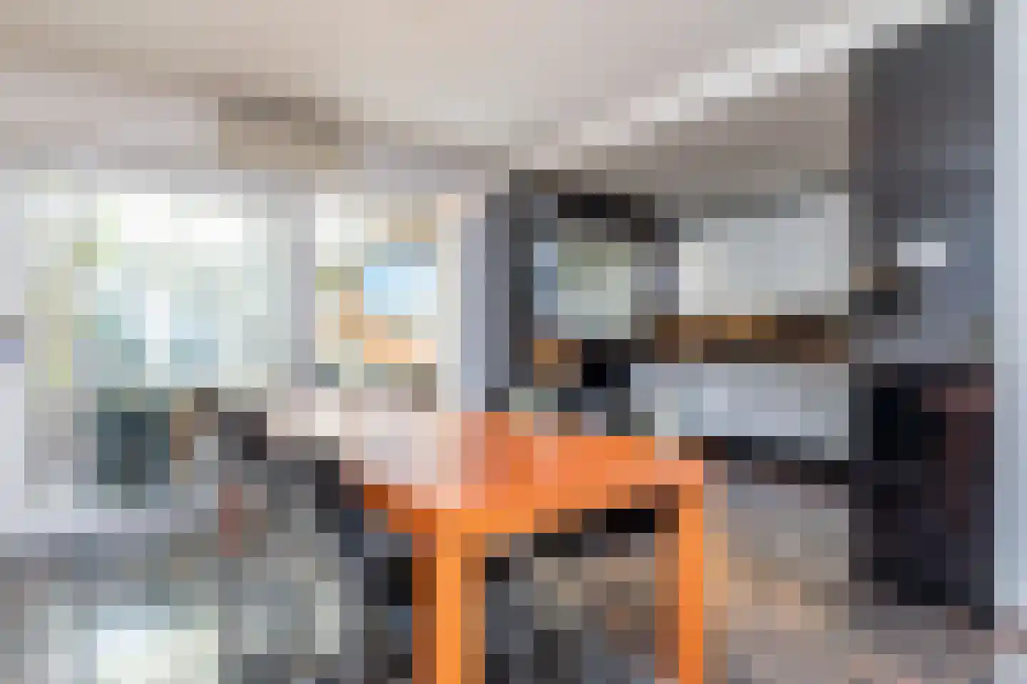 Bouwerweg 8 Simpelveld thumbnail 10