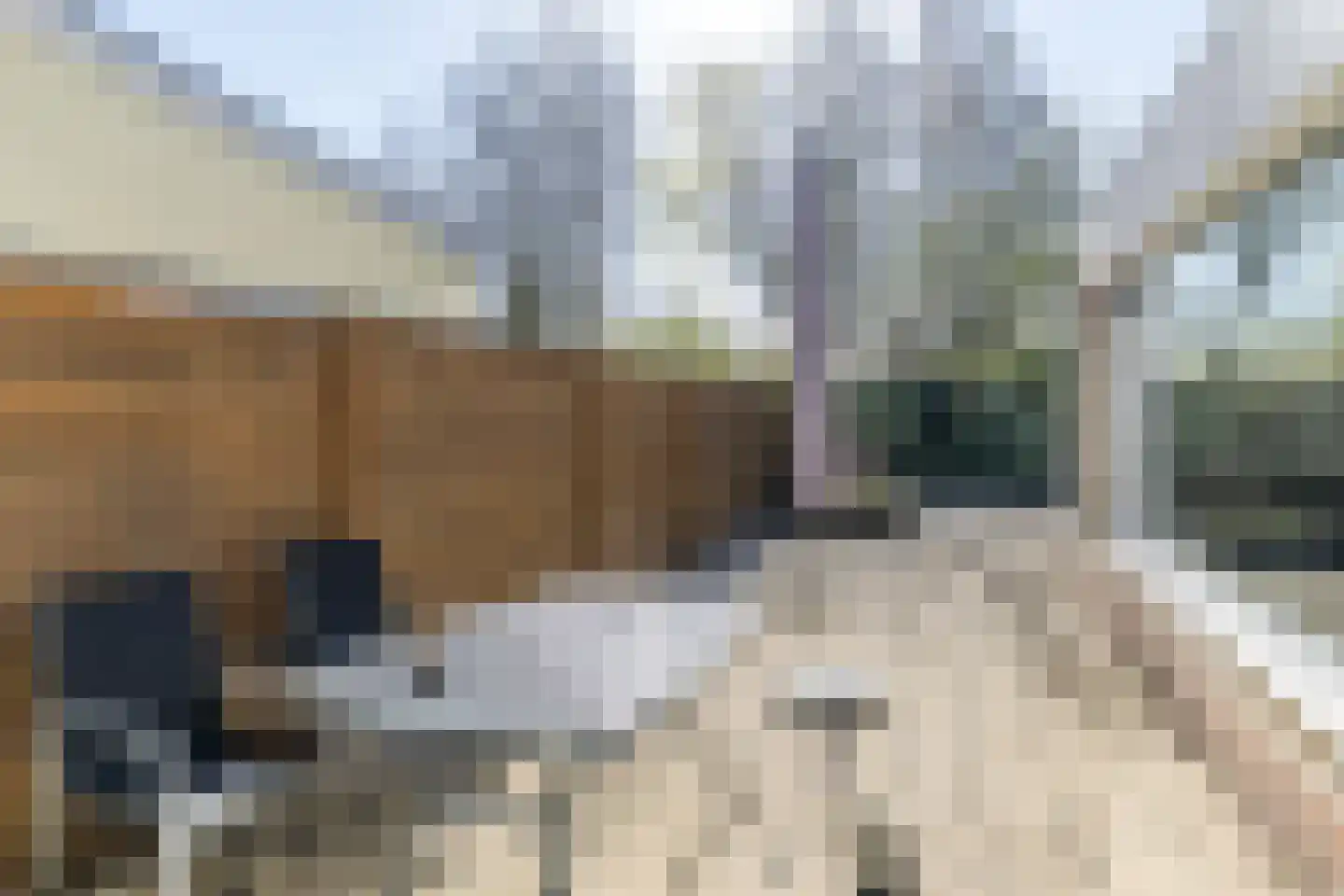Bouwerweg 8 Simpelveld thumbnail 31
