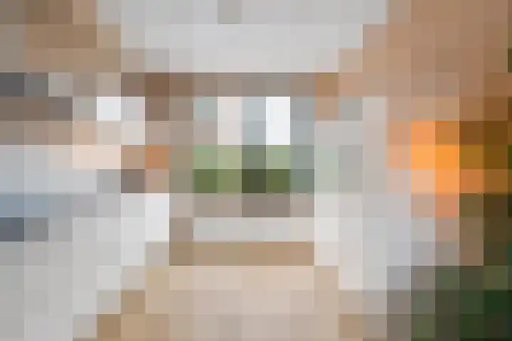 Bouweslân 9 Goutum thumbnail 13