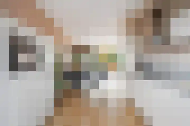 Bouweslân 9 Goutum thumbnail 14