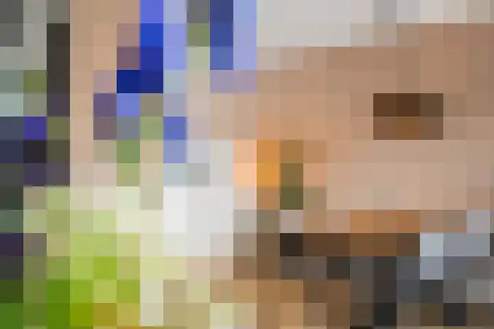 Bouweslân 9 Goutum thumbnail 18