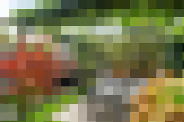 Bouweslân 9 Goutum thumbnail 20