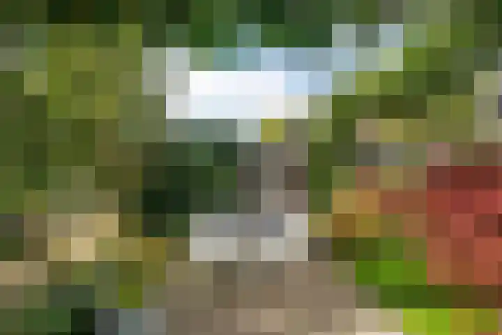 Bouweslân 9 Goutum thumbnail 22
