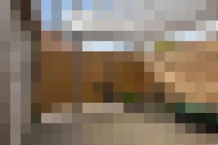 Bouweslân 9 Goutum thumbnail 24