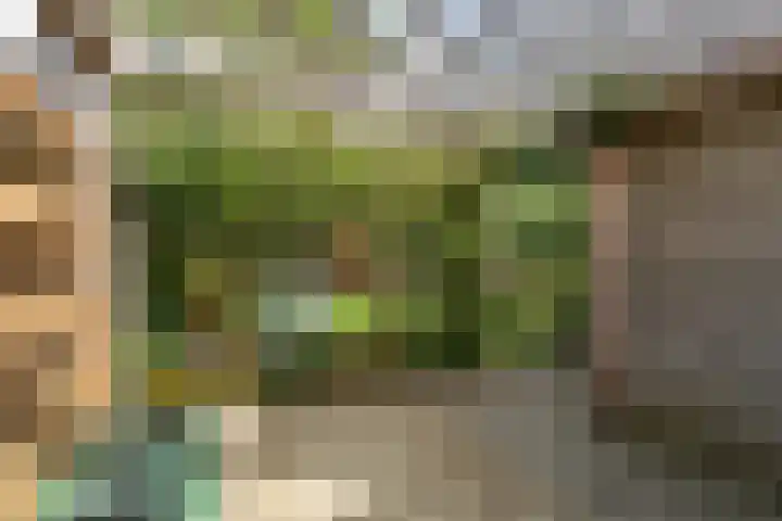 Bouweslân 9 Goutum thumbnail 25
