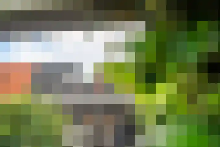 Bouweslân 9 Goutum thumbnail 26