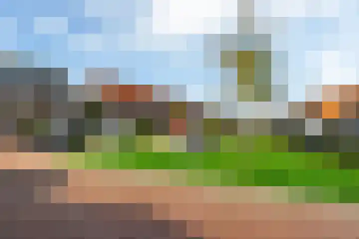 Bouweslân 9 Goutum thumbnail 31