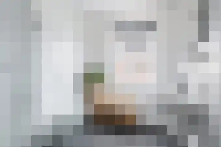 Bouweslân 9 Goutum thumbnail 34