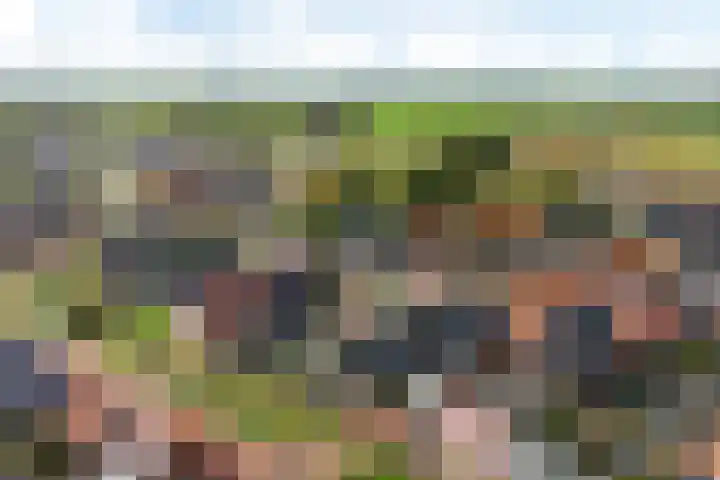 Bouweslân 9 Goutum thumbnail 4