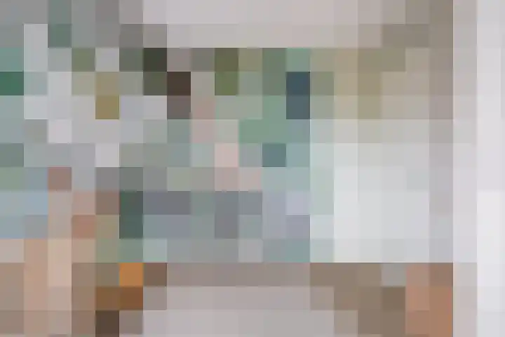 Bouweslân 9 Goutum thumbnail 40