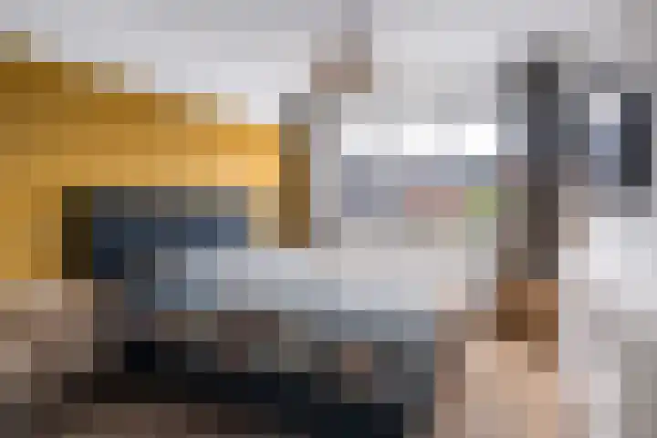Bouweslân 9 Goutum thumbnail 41