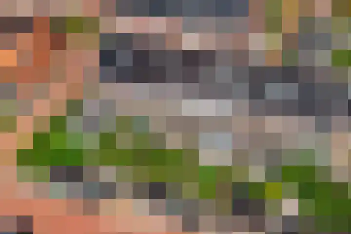 Bouweslân 9 Goutum thumbnail 48