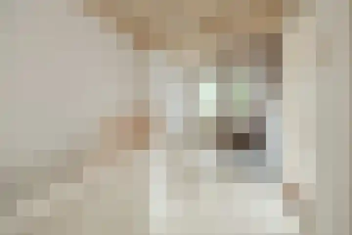 Bouwheerstraat 7 Barneveld thumbnail 21