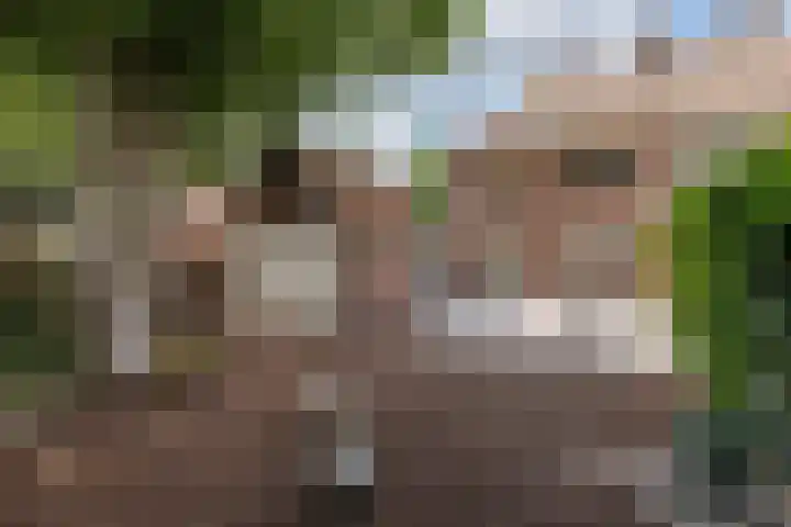 Bouwheerstraat 7 Barneveld thumbnail 37