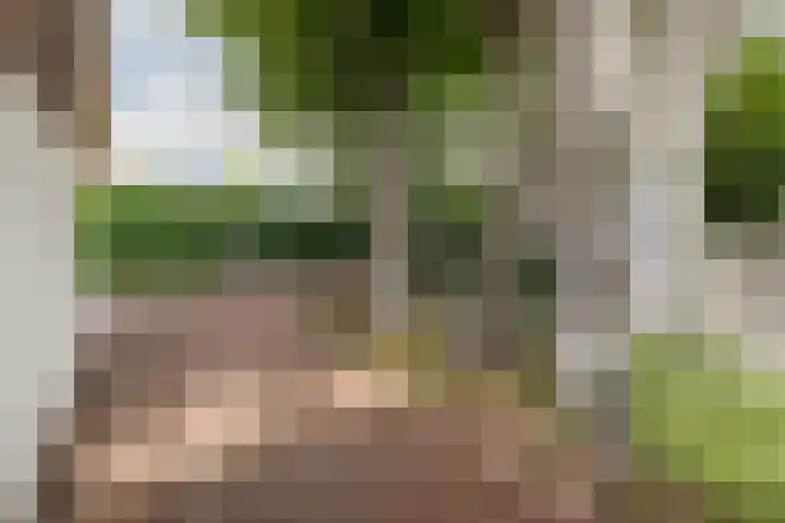 Bouwheerstraat 7 Barneveld thumbnail 39