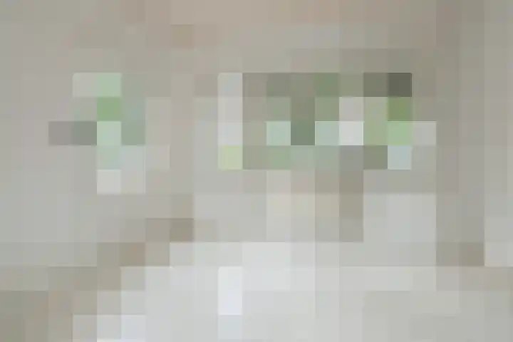 Bouwheerstraat 7 Barneveld thumbnail 7
