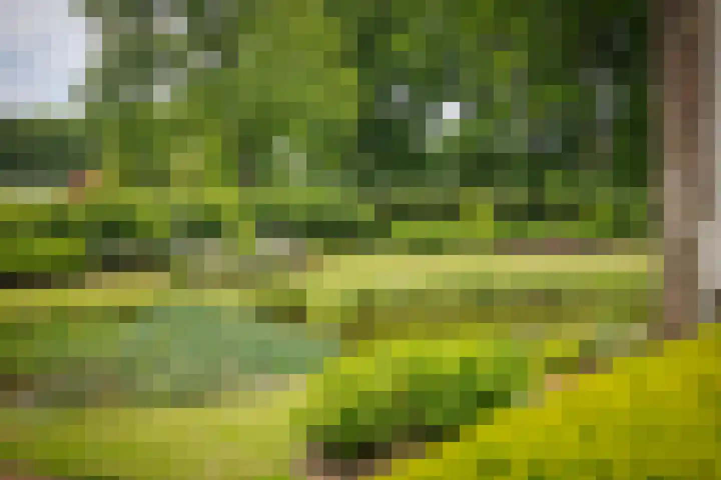 Bouwhuispad 2 Olst thumbnail 10