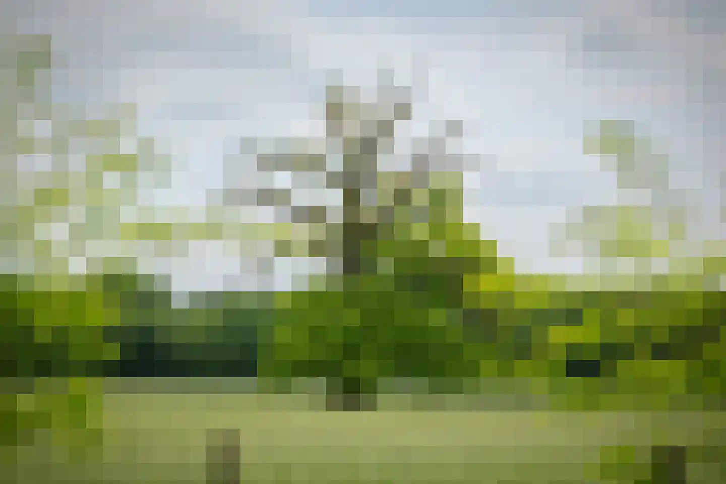 Bouwhuispad 2 Olst thumbnail 11