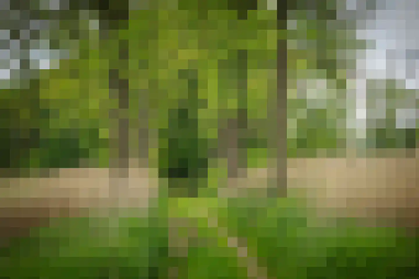 Bouwhuispad 2 Olst thumbnail 12