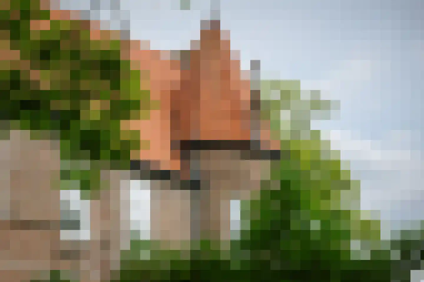 Bouwhuispad 2 Olst thumbnail 15