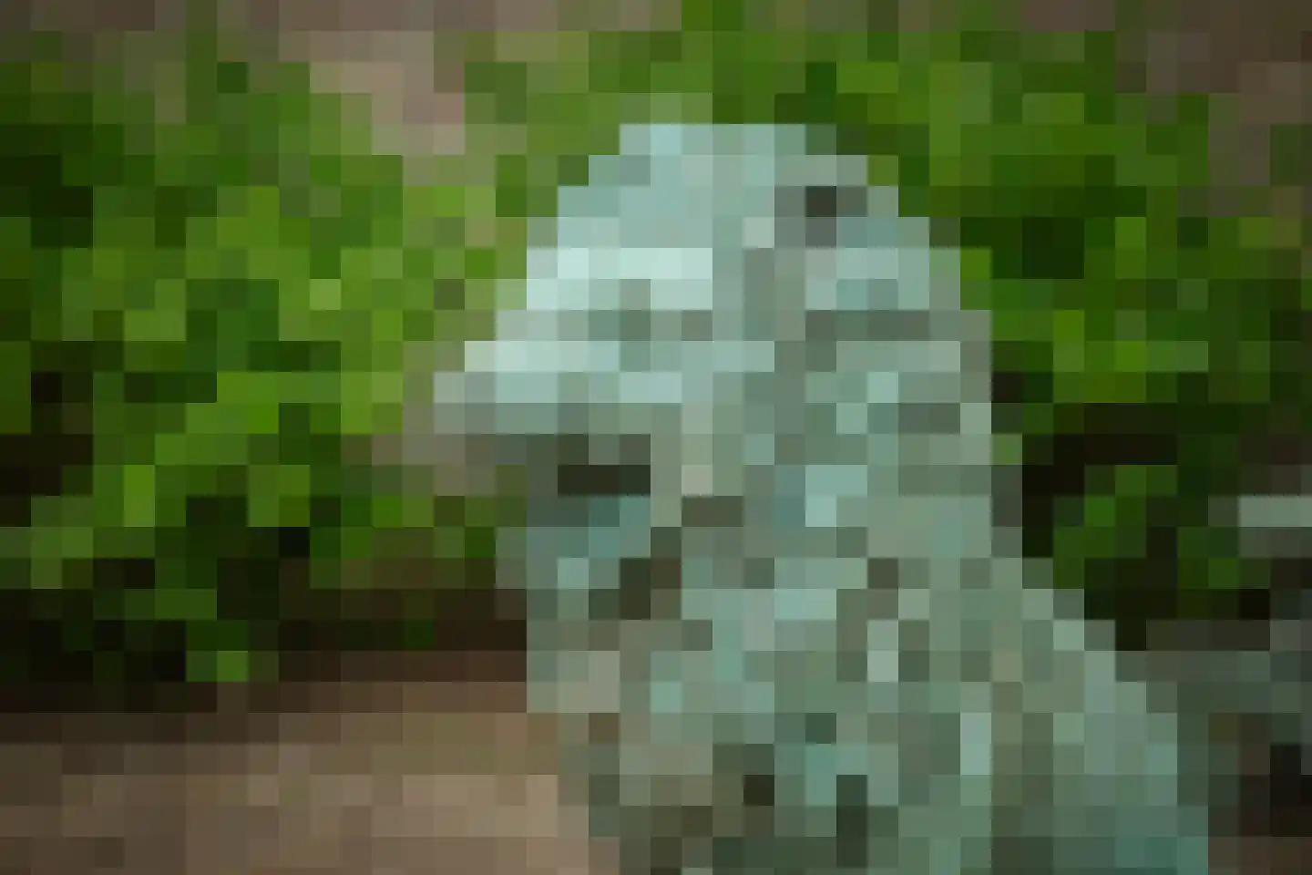 Bouwhuispad 2 Olst thumbnail 17