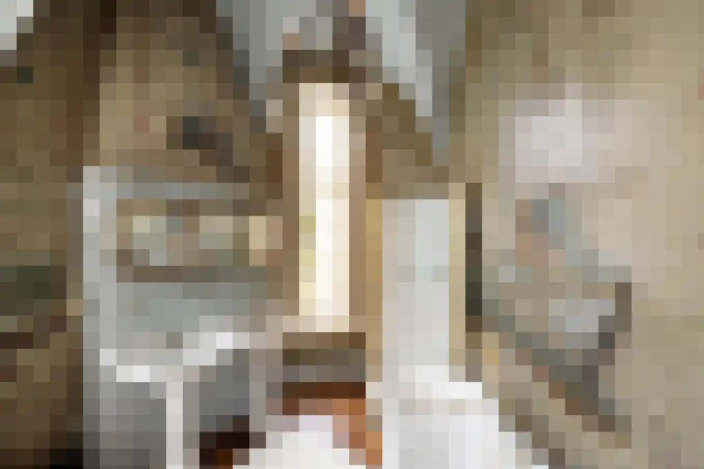 Bouwhuispad 2 Olst thumbnail 18