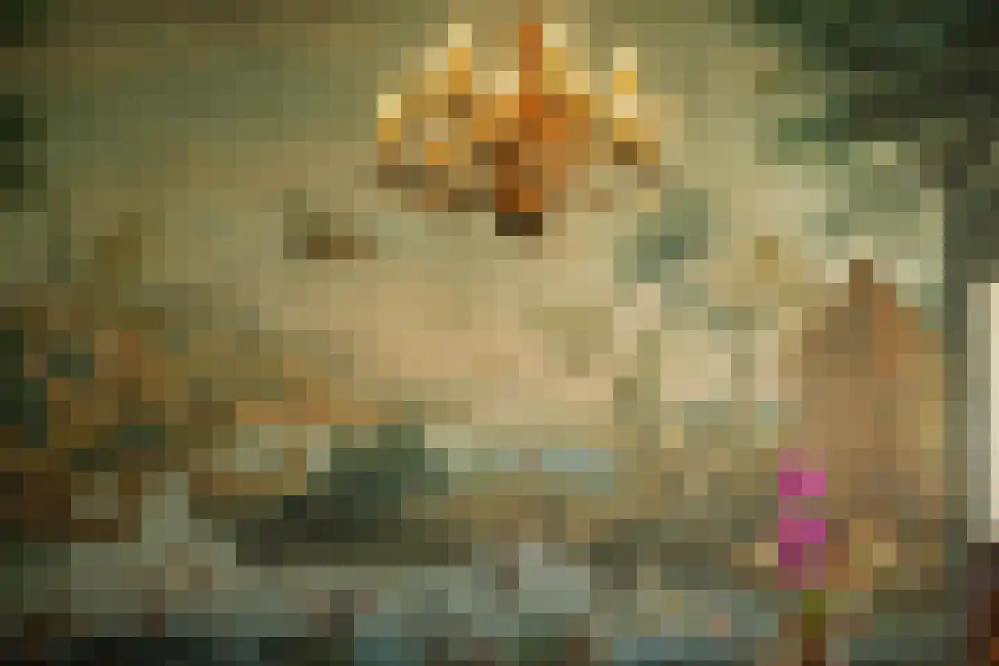 Bouwhuispad 2 Olst thumbnail 19