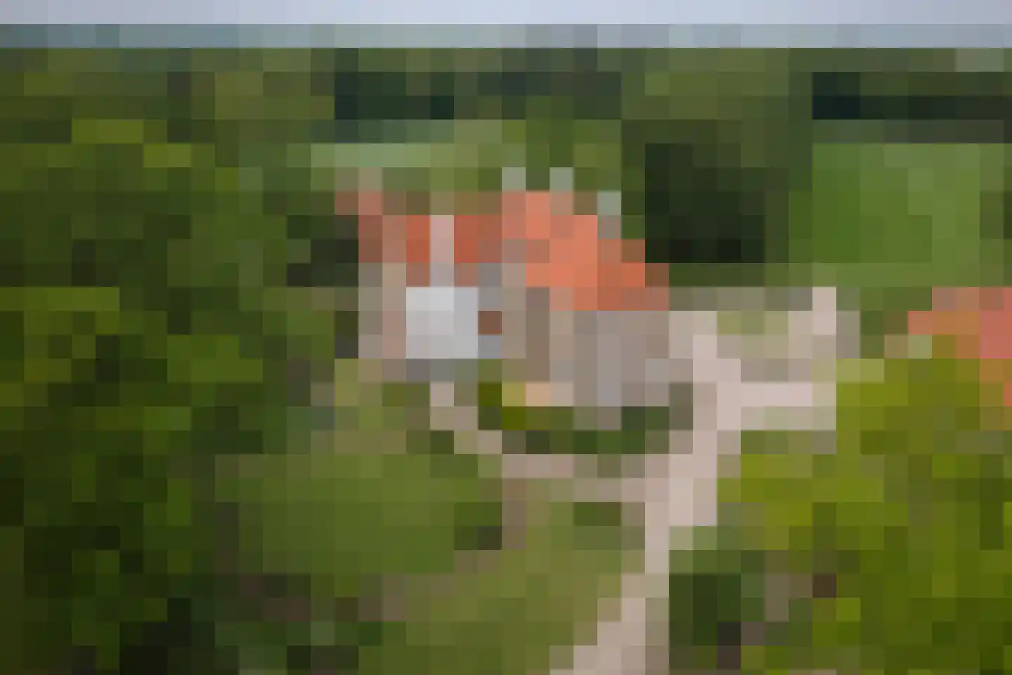 Bouwhuispad 2 Olst foto 3