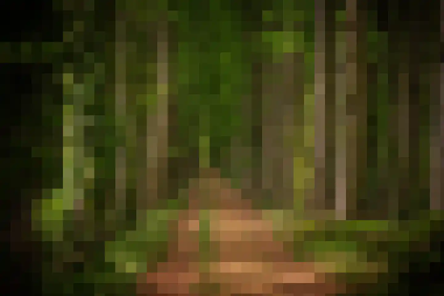 Bouwhuispad 2 Olst thumbnail 5