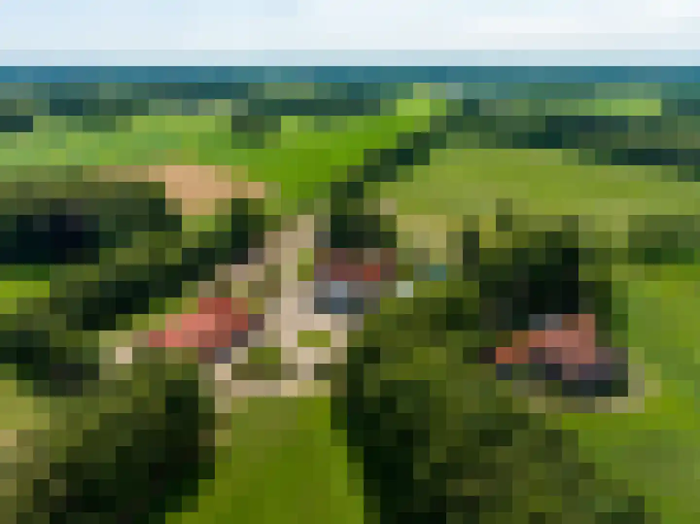 Bouwhuispad 2 Olst thumbnail 5