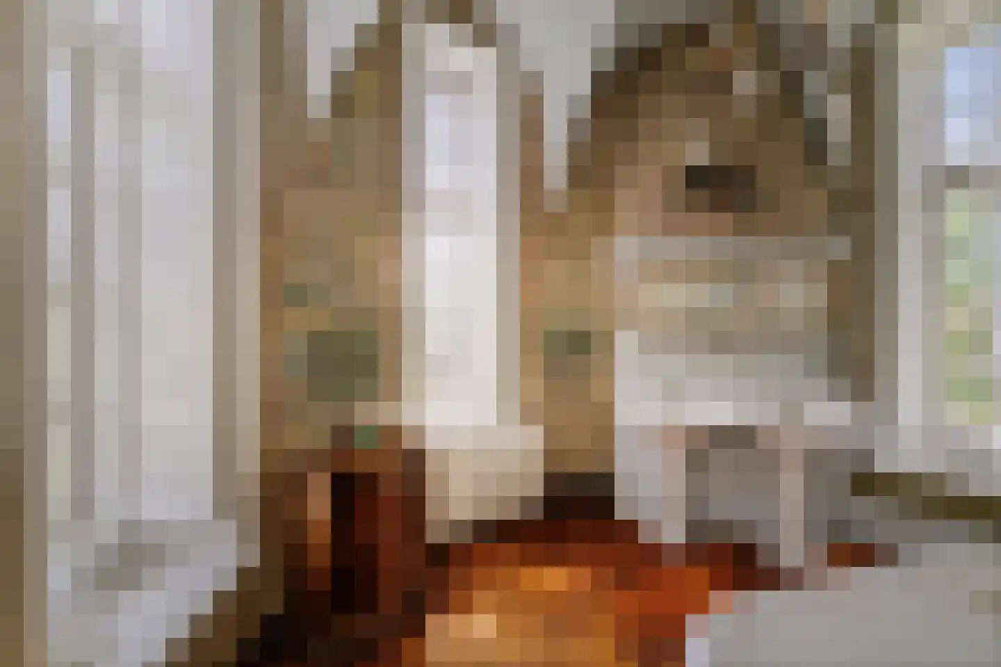 Bouwhuispad 2 Olst thumbnail 51