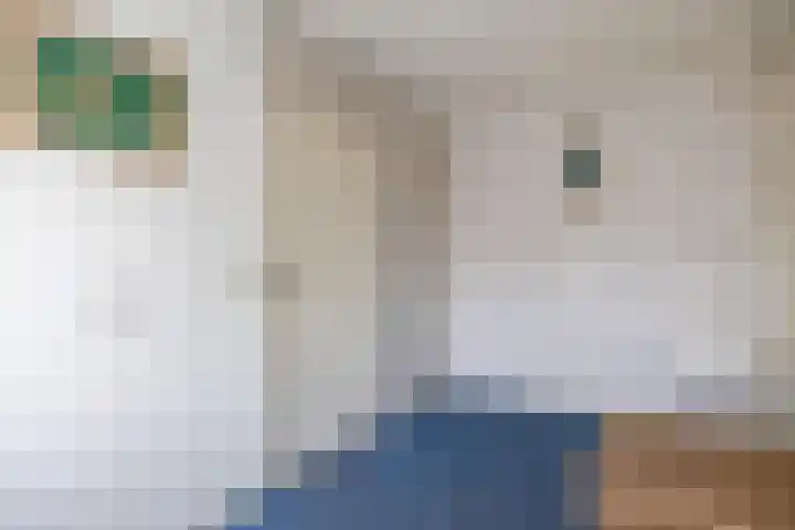Bouwhuisstraat 7 Grijpskerk thumbnail 19