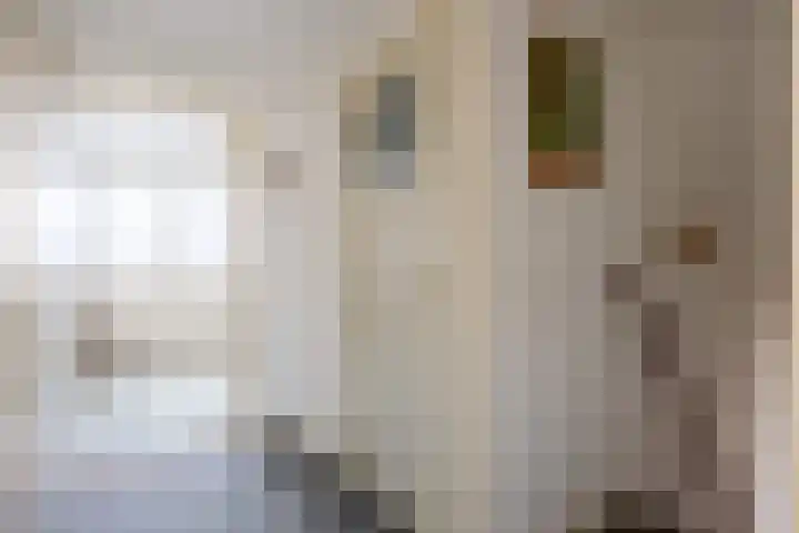 Bouwhuisstraat 7 Grijpskerk thumbnail 20