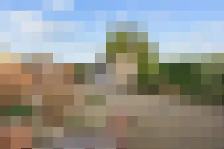 Bouwhuisstraat 7 Grijpskerk thumbnail 28