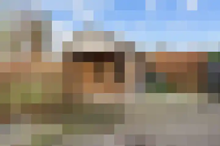 Bouwhuisstraat 7 Grijpskerk thumbnail 29