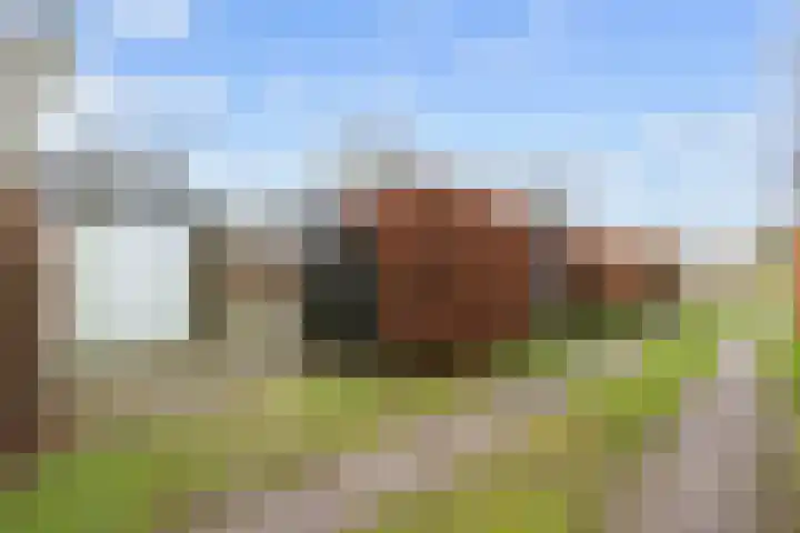 Bouwhuisstraat 7 Grijpskerk thumbnail 31