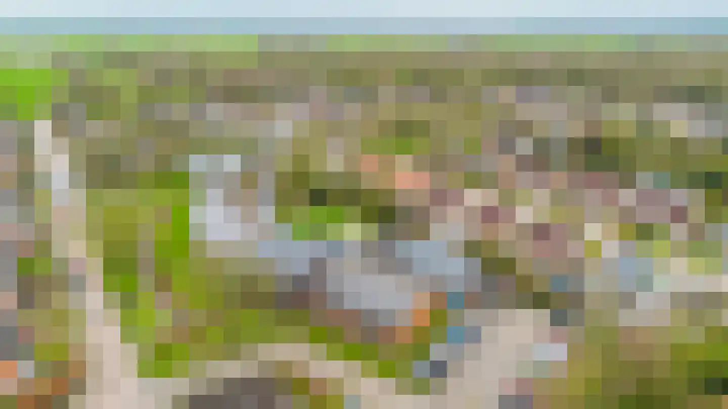 Bouwkamp 10 18 Nieuwehorne thumbnail 13