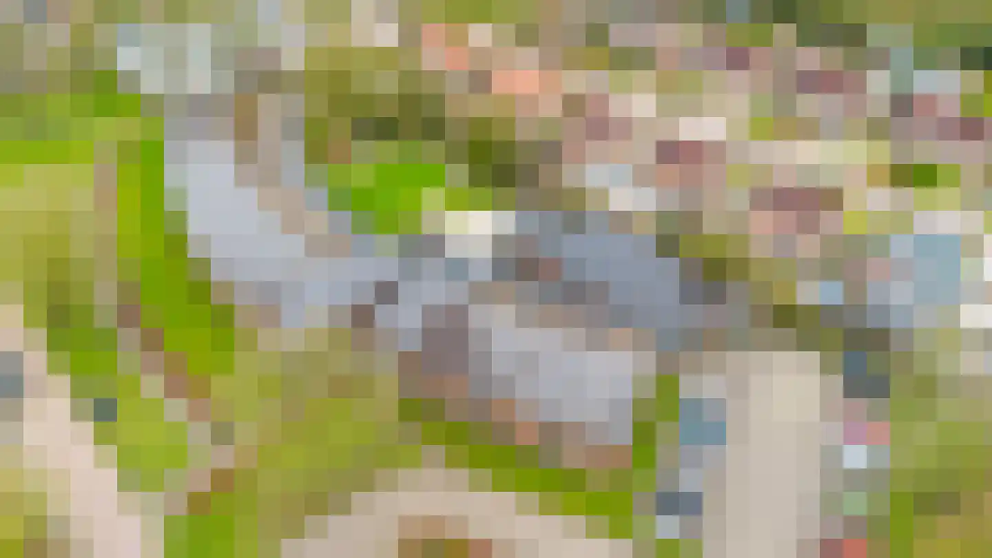 Bouwkamp 10 18 Nieuwehorne thumbnail 14