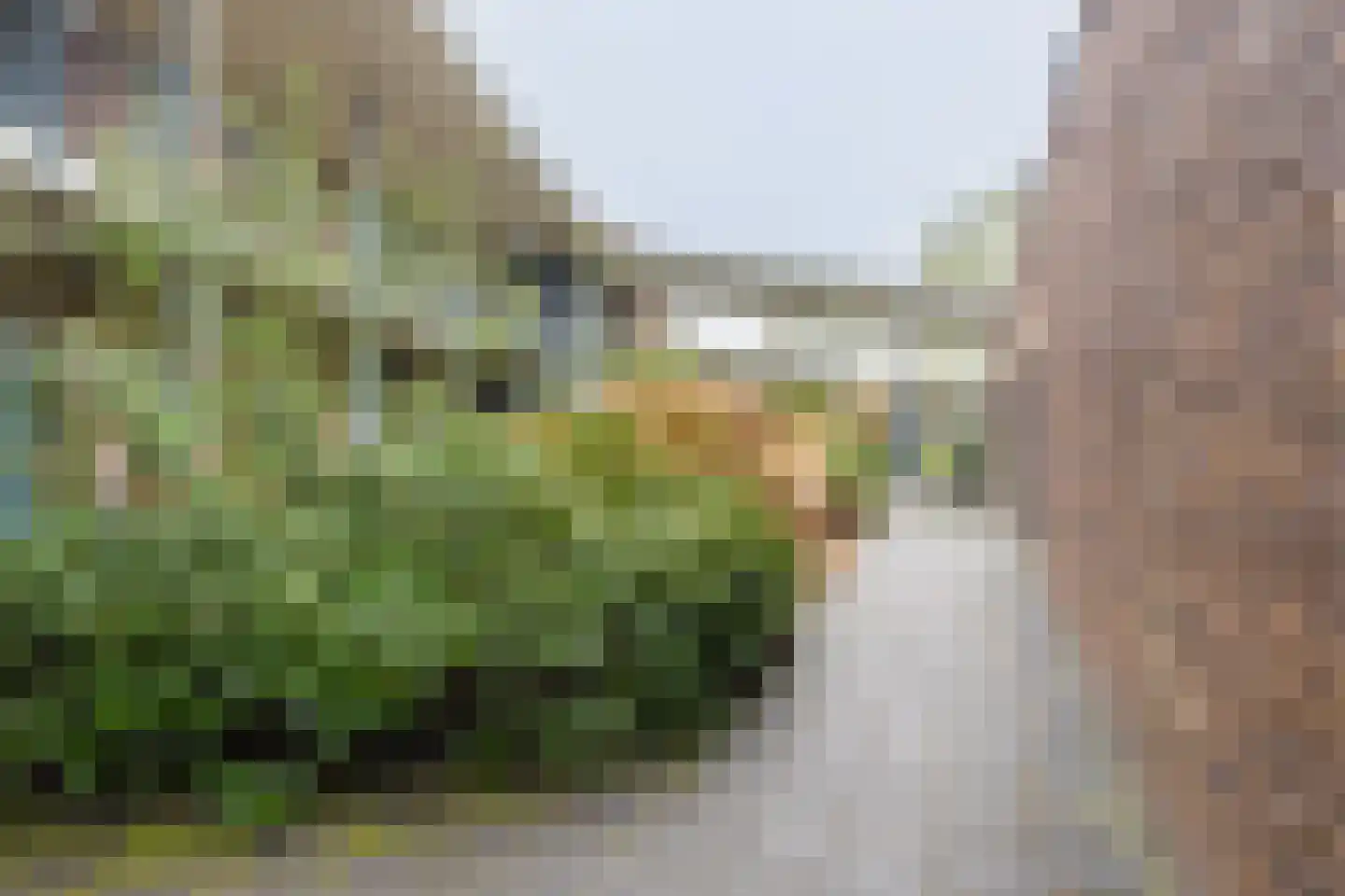 Bouwkamp 10 18 Nieuwehorne thumbnail 15