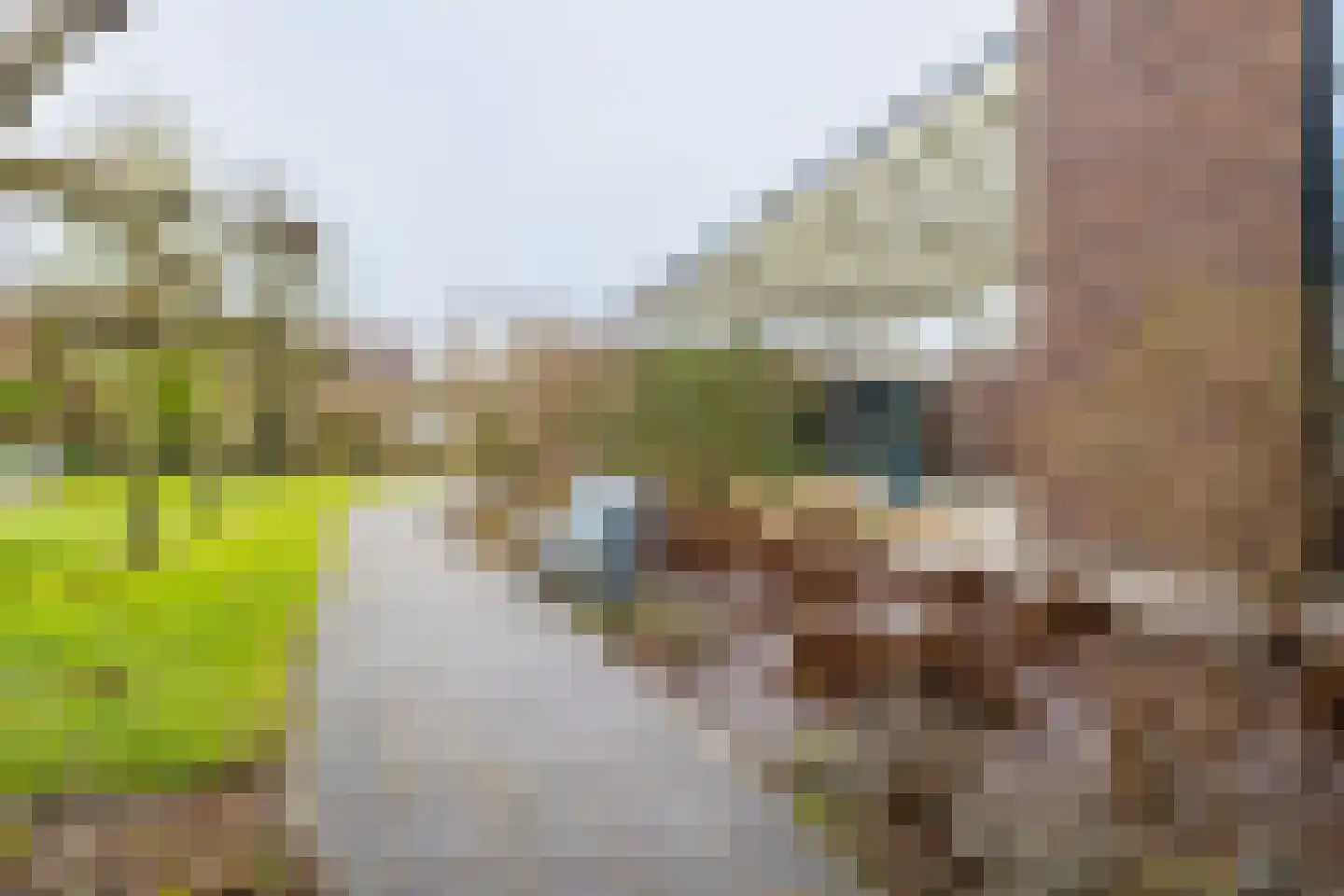 Bouwkamp 10 18 Nieuwehorne thumbnail 18