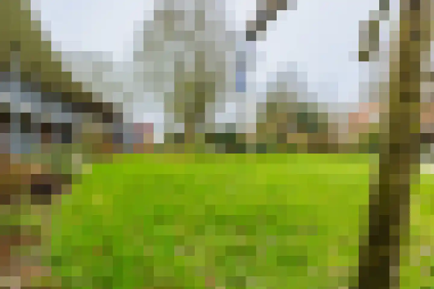 Bouwkamp 10 18 Nieuwehorne thumbnail 19