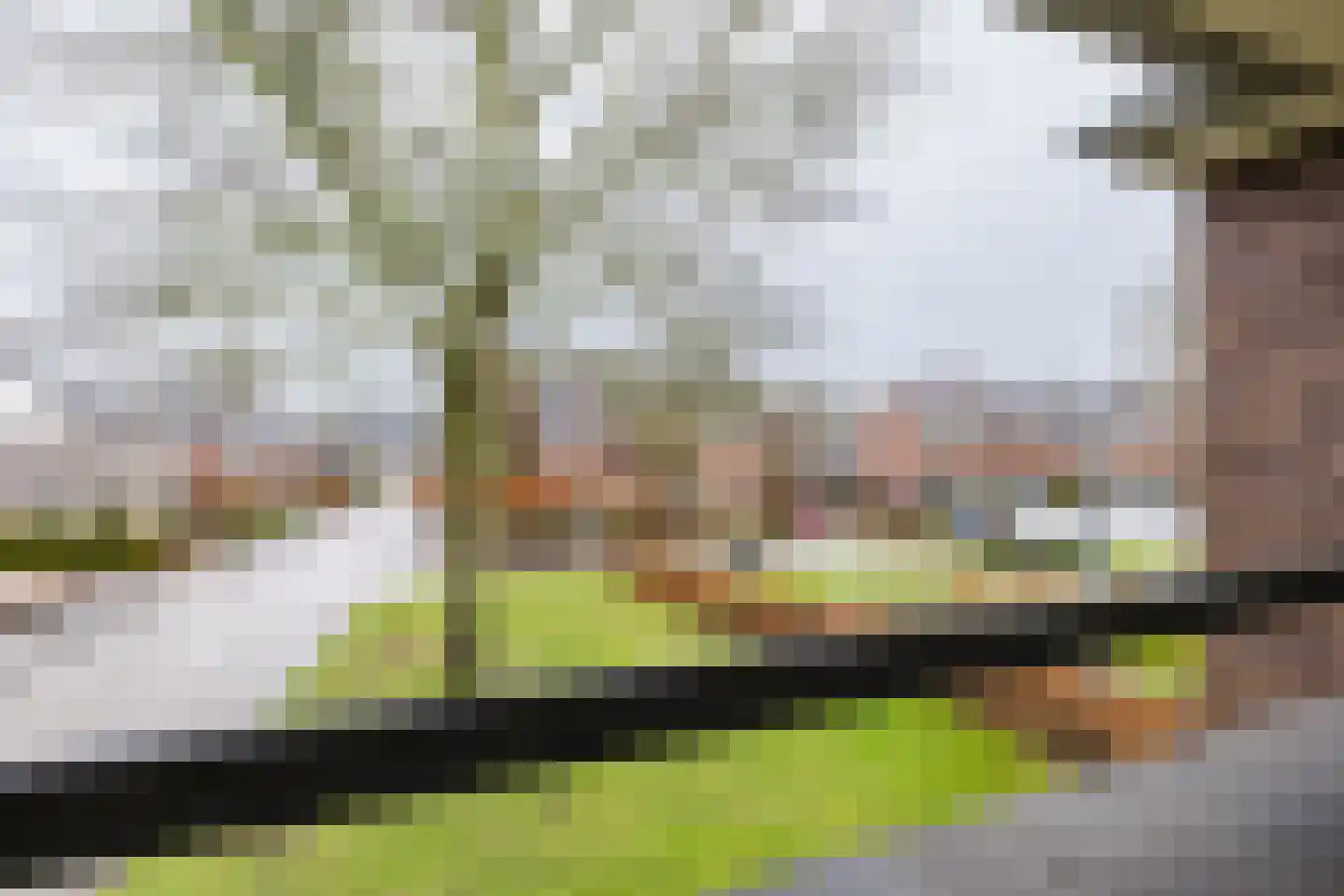 Bouwkamp 10 18 Nieuwehorne thumbnail 44